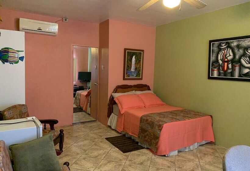 پانسیون Carolyn S View Guest House