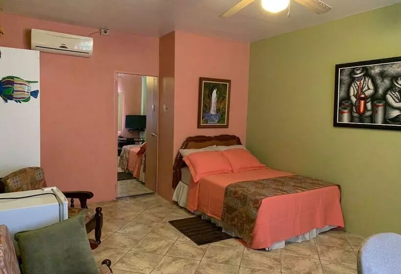 پانسیون Carolyn S View Guest House