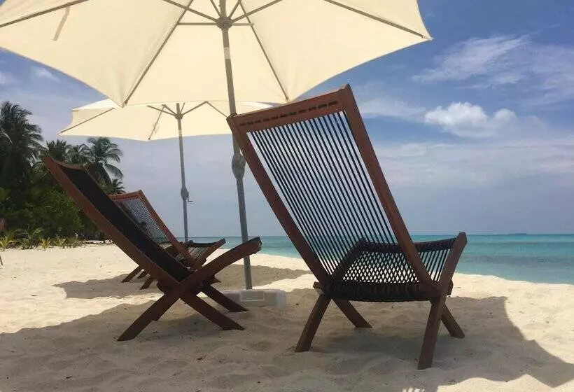 پانسیون Luau Beach Inn Maldives