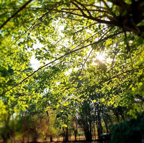 پانسیون Posada El Prado