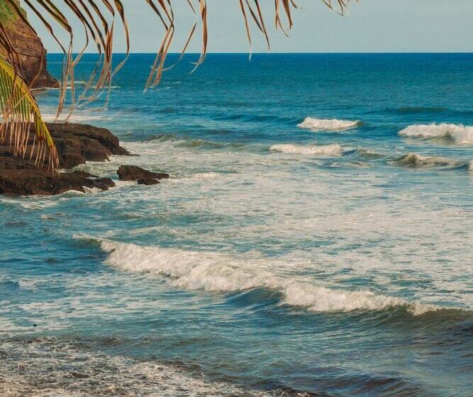 Puro Surf Hotel And Academy