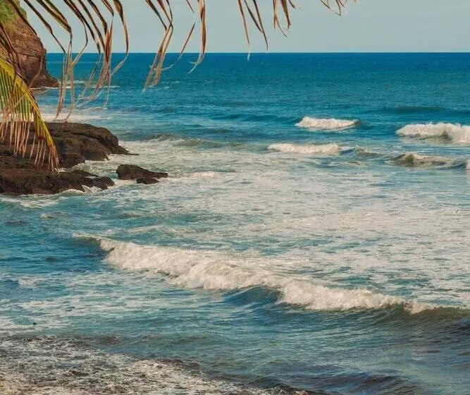 Puro Surf Hotel And Academy