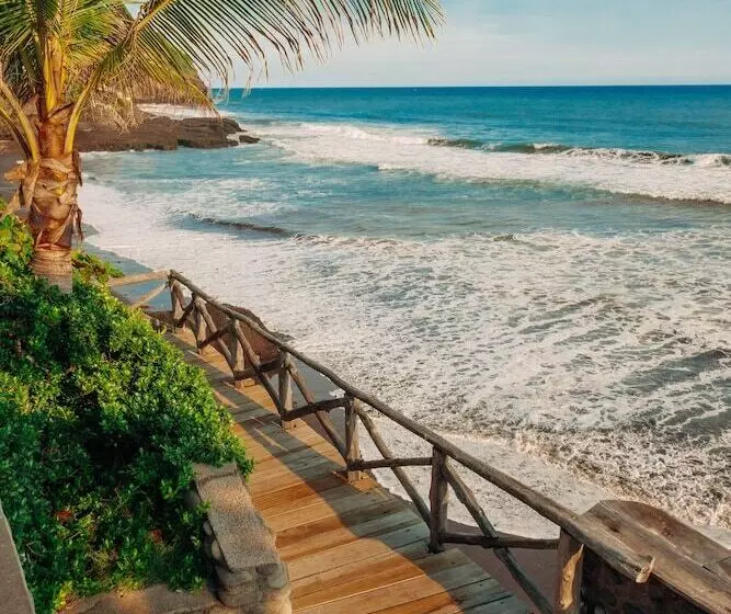 Puro Surf Hotel And Academy