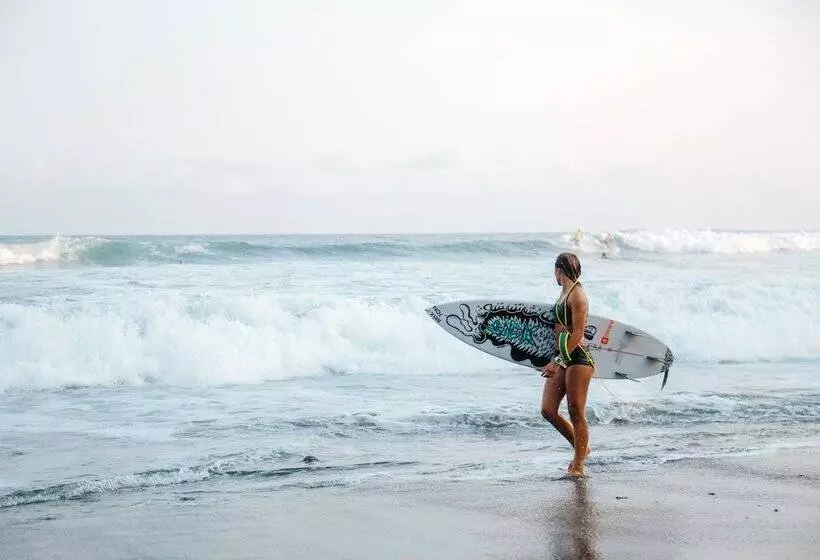 Puro Surf Hotel And Academy