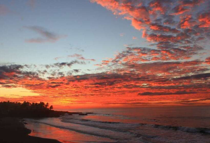 Puro Surf Hotel And Academy