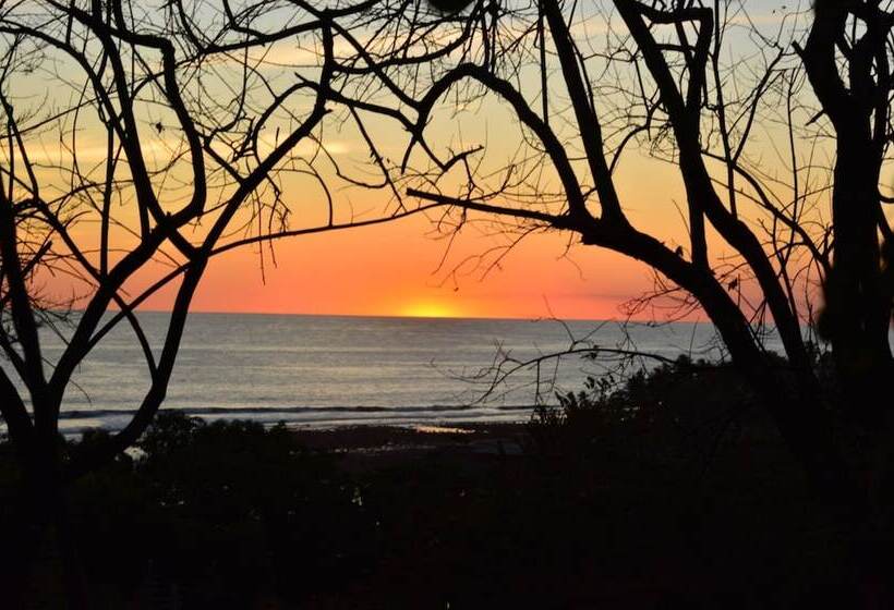 Puro Surf Hotel And Academy