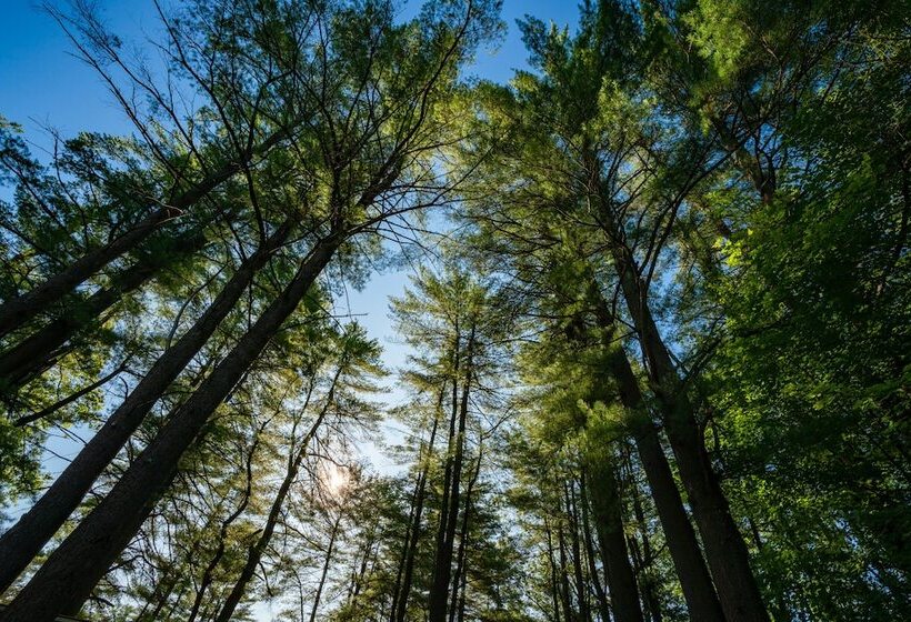 Sun Retreats Adirondack Gateway