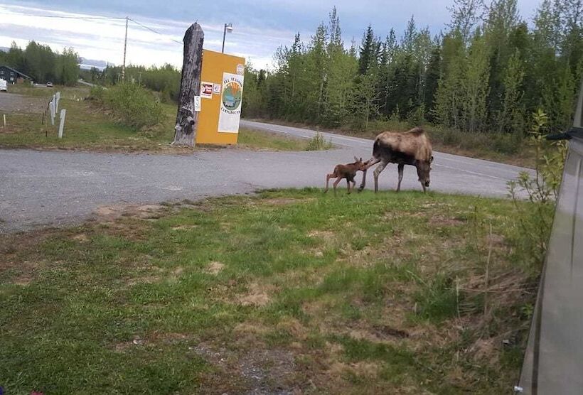 All Seasons Campground