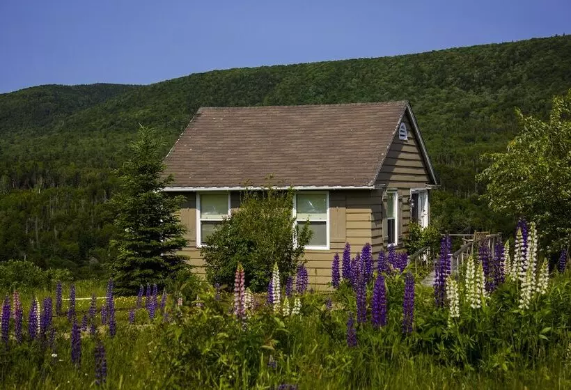 Chanterelle Inn & Cottages