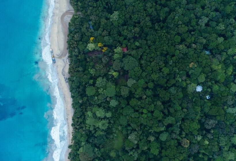 Congo Bongo Ecovillage Costa Rica