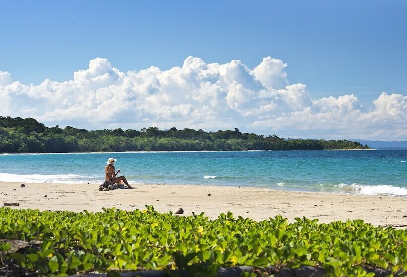 Congo Bongo Ecovillage Costa Rica