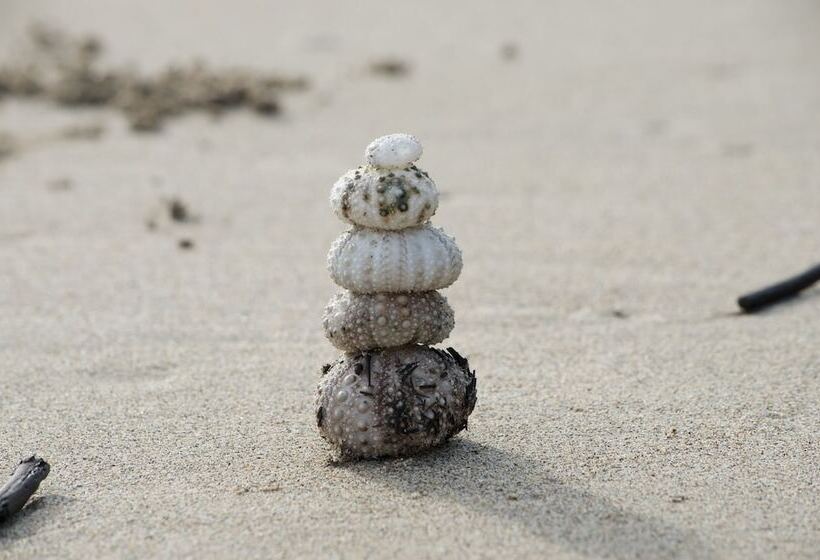 Congo Bongo Ecovillage Costa Rica