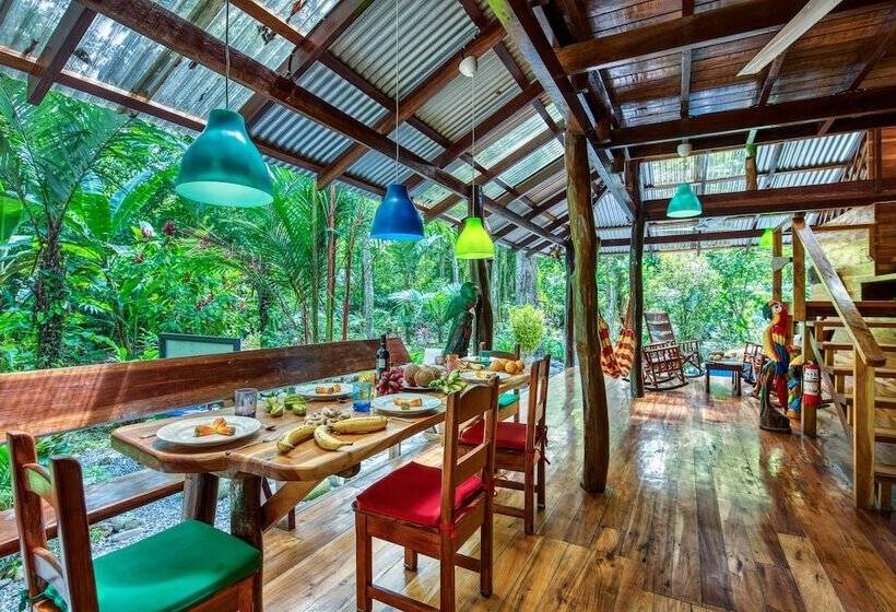 Congo Bongo Ecovillage Costa Rica