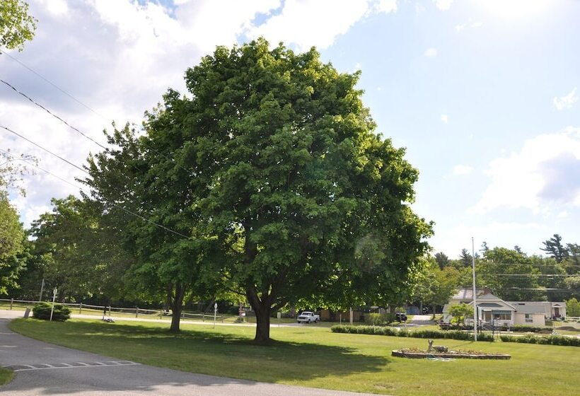 Gallagher S Travels Bar Harbor Motel & Cabins