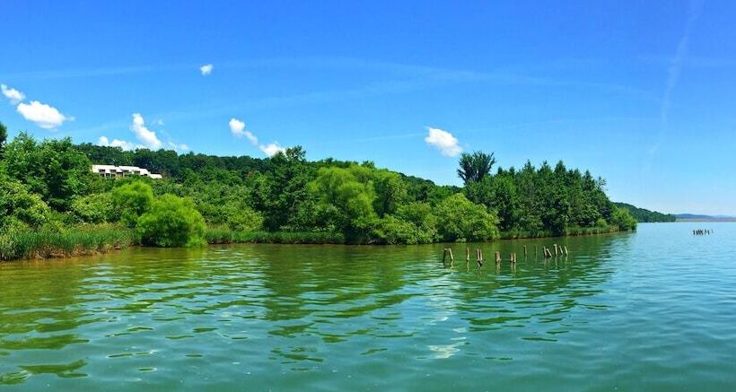 בית מלון כפרי Nature Inn At Bald Eagle