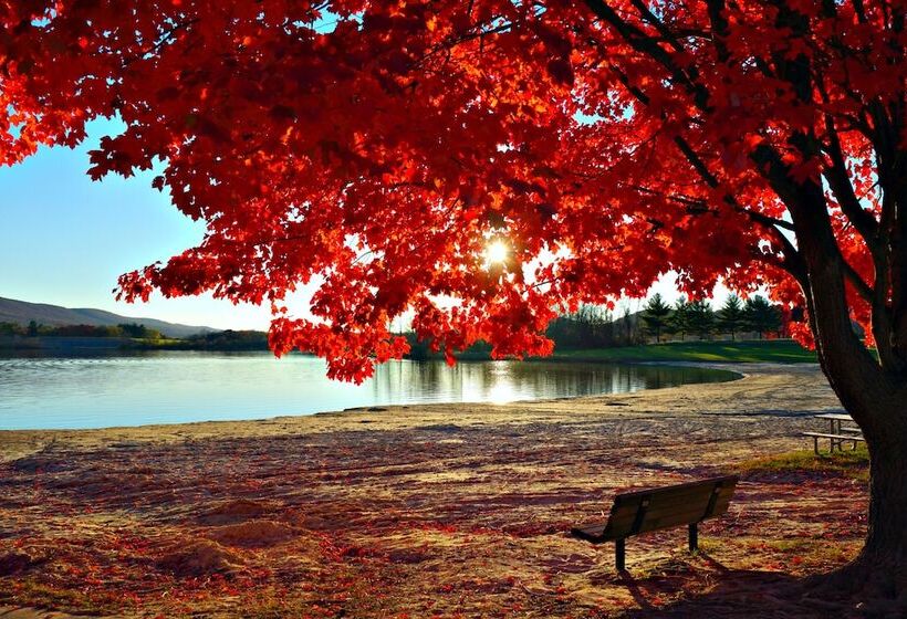 בית מלון כפרי Nature Inn At Bald Eagle