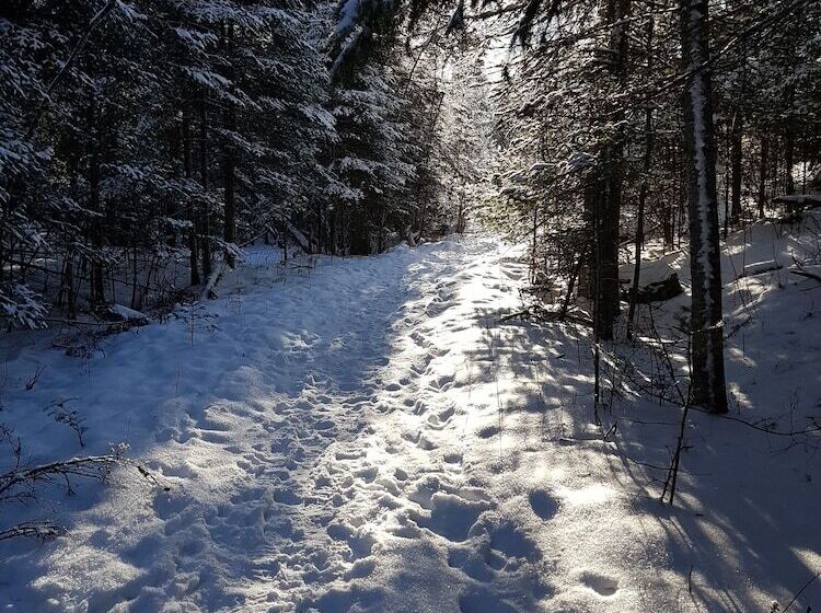 هتل Nature S Inn Kenora