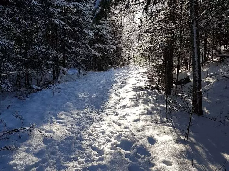 Hotelli Nature S Inn Kenora