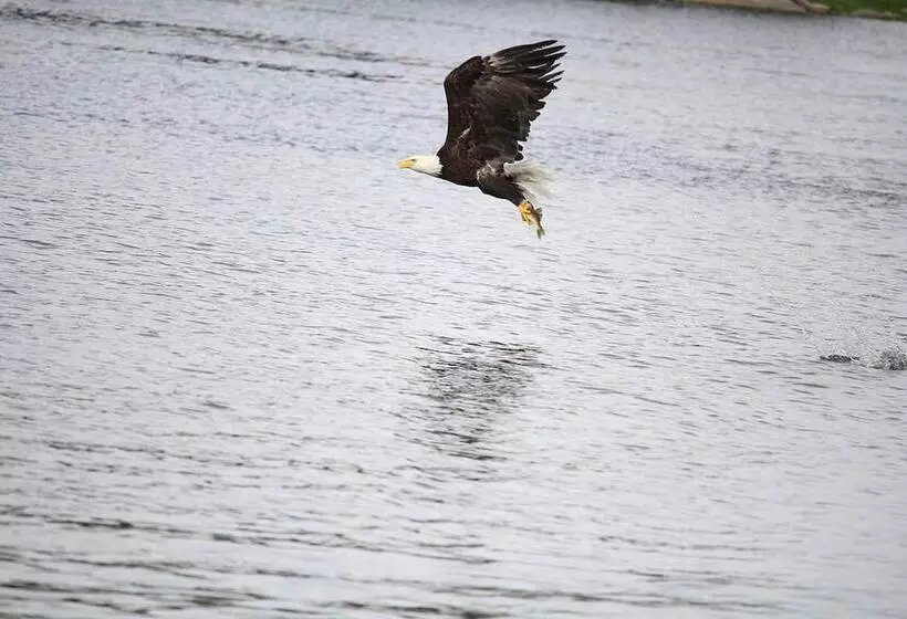 Hotelli Nature S Inn Kenora