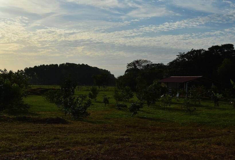 ホテル Parador El Guafal