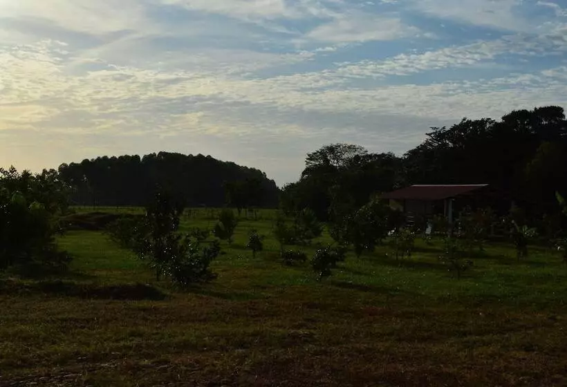 ホテル Parador El Guafal