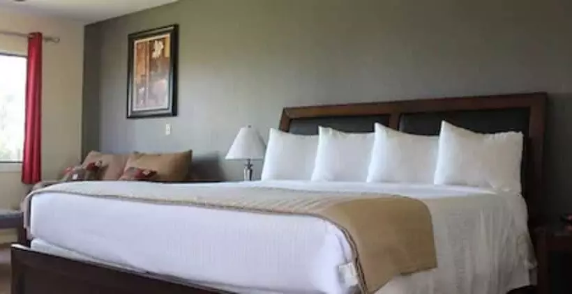 Hotelli Shenandoah Inn