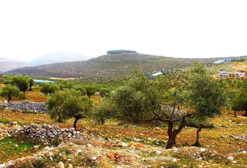هتل Taybeh Golden