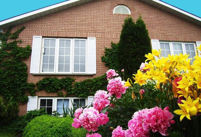 Opus 74 Bed & Breakfast