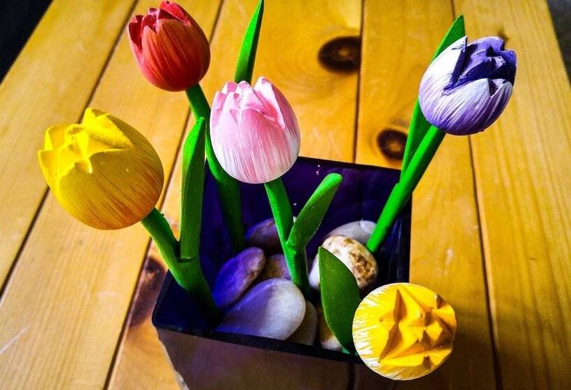 Opus 74 Bed & Breakfast