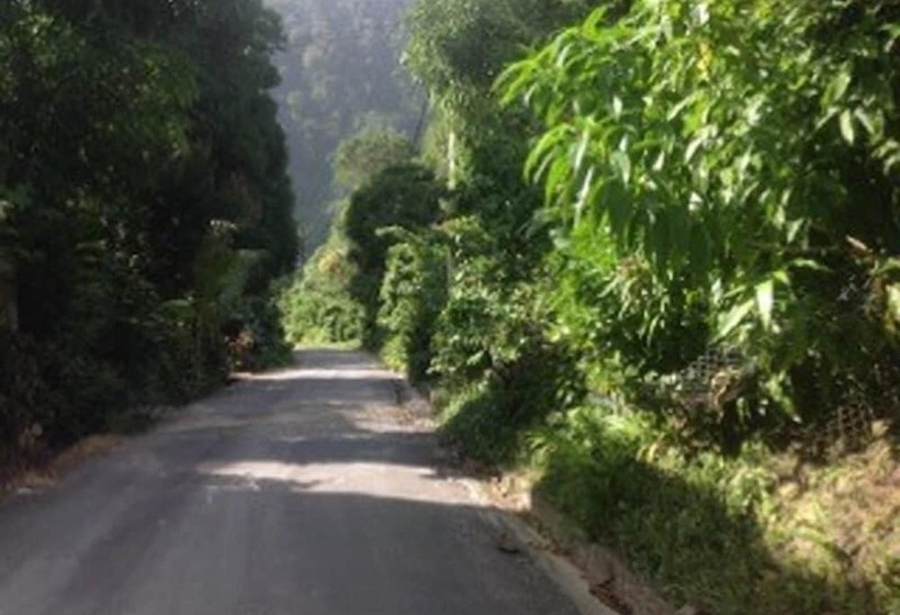 پانسیون The Jungle Room