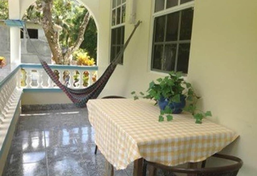 پانسیون The Jungle Room