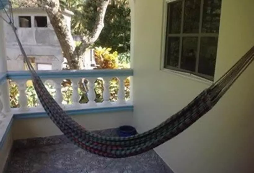 پانسیون The Jungle Room
