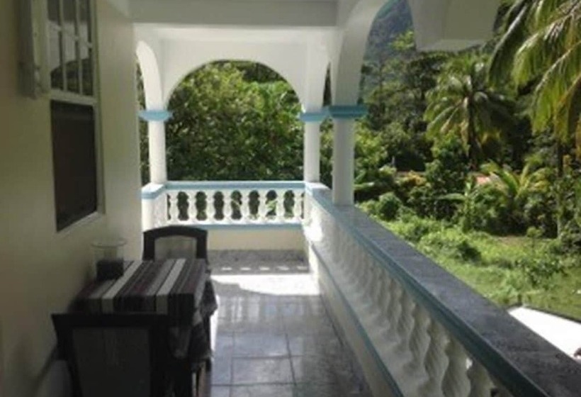 پانسیون The Jungle Room