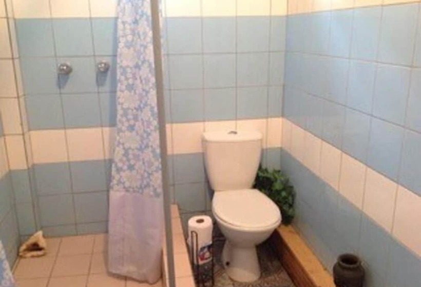 پانسیون The Jungle Room