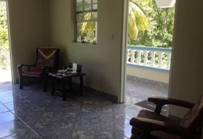 پانسیون The Jungle Room