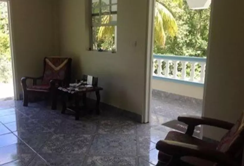 پانسیون The Jungle Room