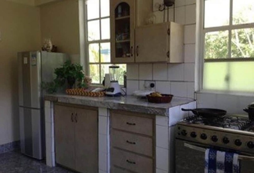 پانسیون The Jungle Room