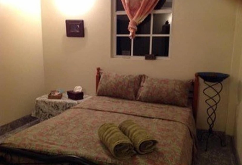 پانسیون The Jungle Room