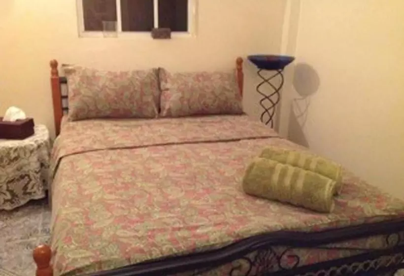 پانسیون The Jungle Room