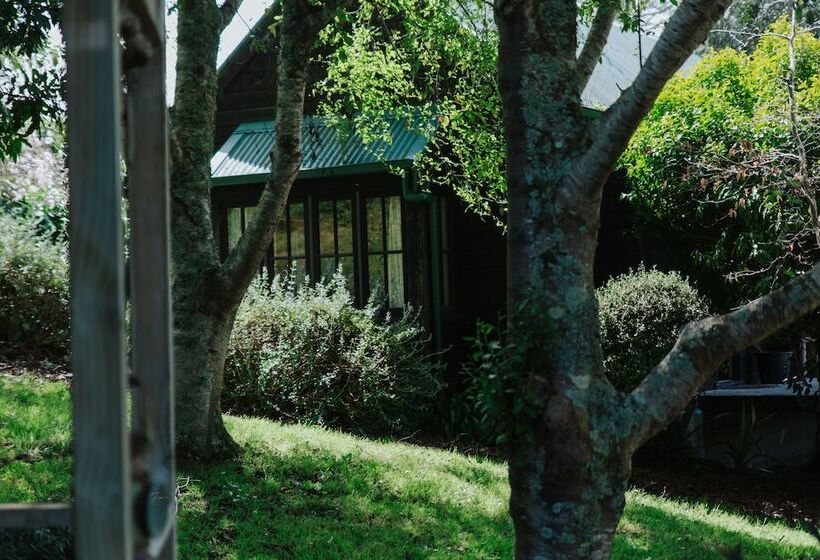 Vineyard Cottages   Kumeu