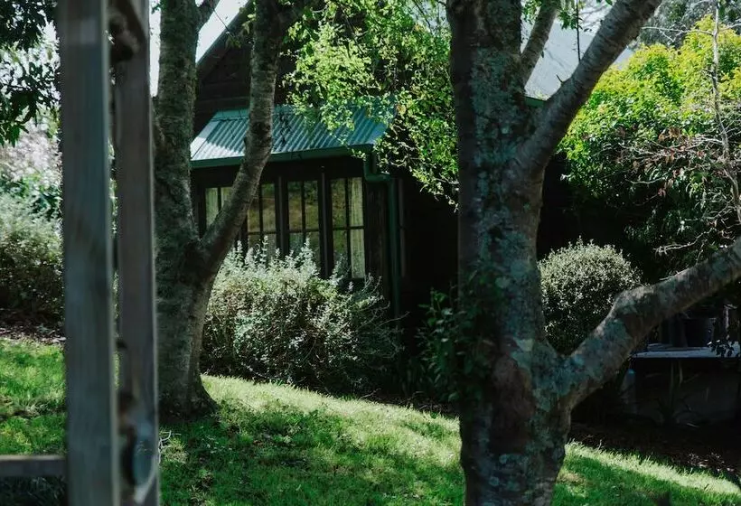 Vineyard Cottages   Kumeu