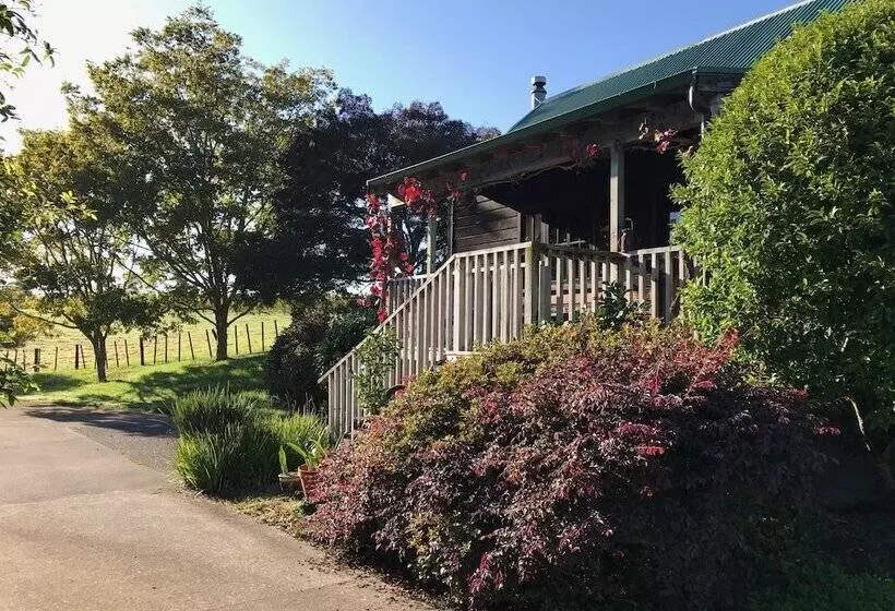 Vineyard Cottages   Kumeu