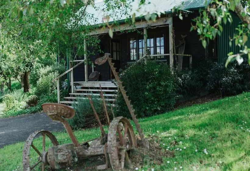 Vineyard Cottages   Kumeu