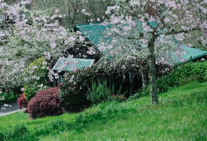 Vineyard Cottages   Kumeu