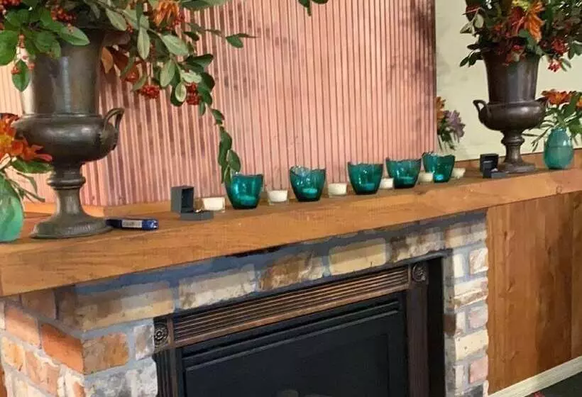 Vineyard Cottages   Kumeu