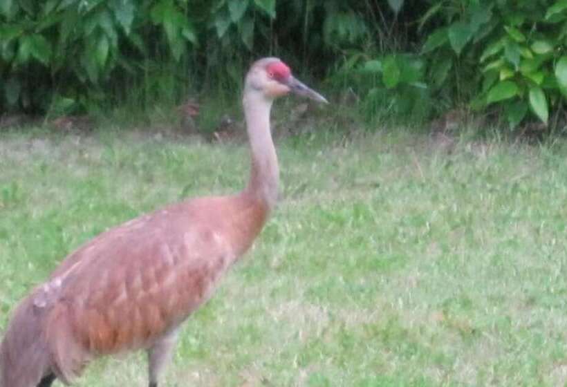 Whispering Winds Retreat B&b