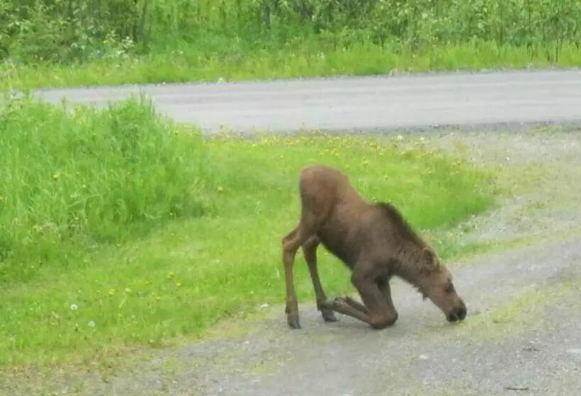 Whispering Winds Retreat B&b