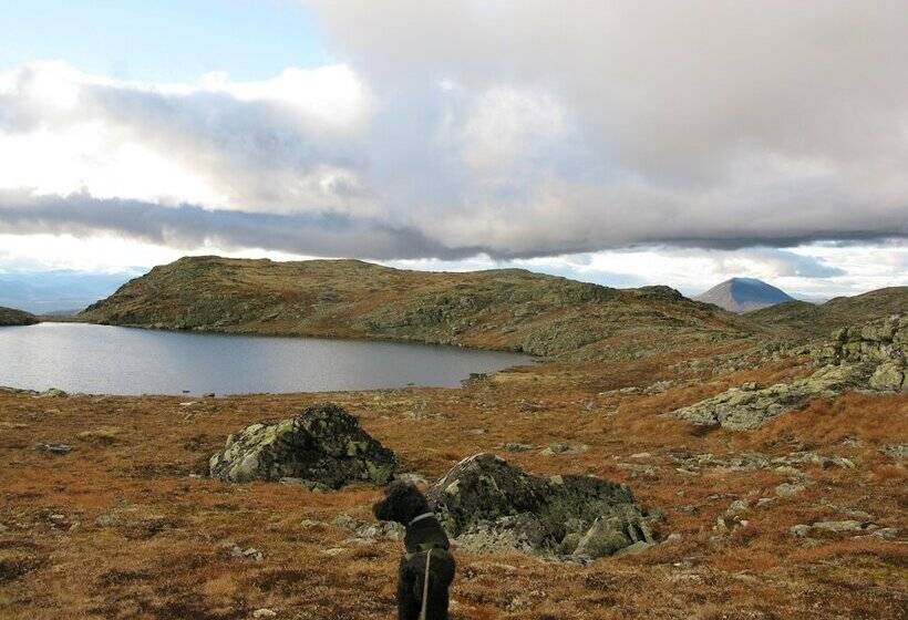 Dalseter Fjellhotell