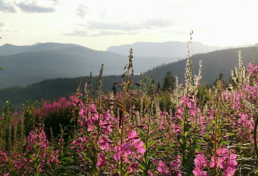 Dalseter Fjellhotell