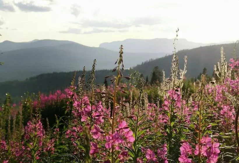 Dalseter Fjellhotell